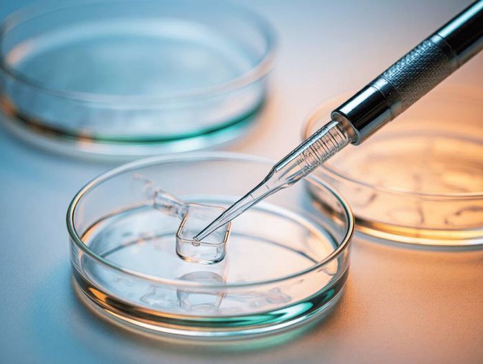 胃镜附件生物相容性检测