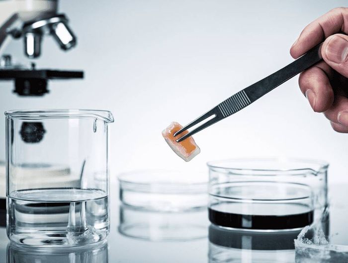 手术镊生物相容性检测