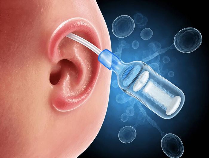 中耳植入物生物相容性检测