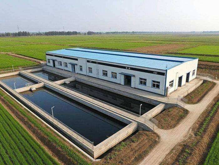 农村生活污水人工湿地处理效能监测