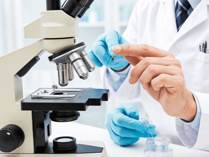 手术缝线生物相容性检测