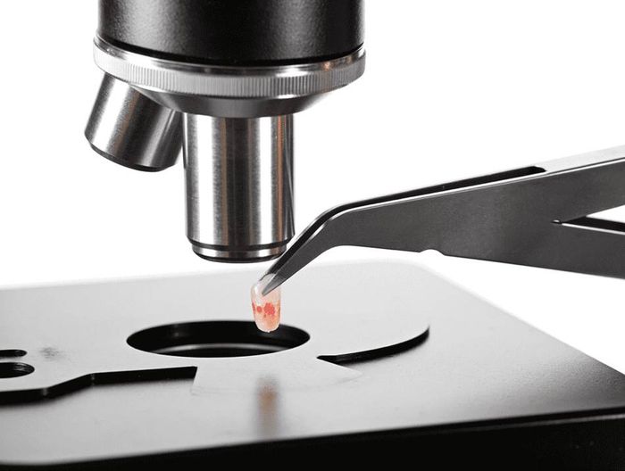 组织剪生物相容性检测