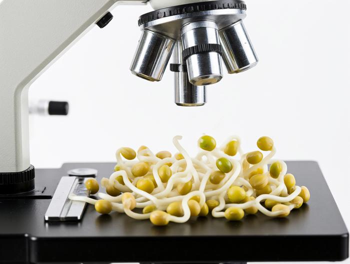 豆芽微生物检测