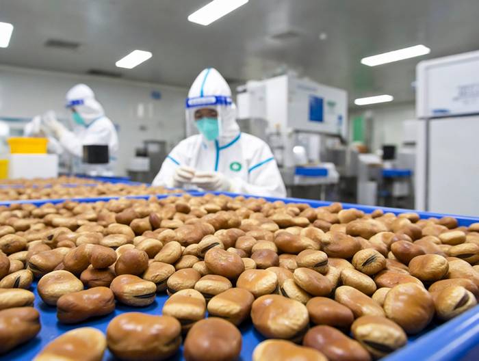 蚕豆农药残留检测