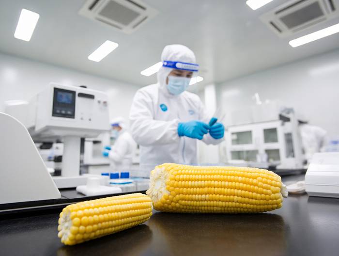 玉米农药残留检测