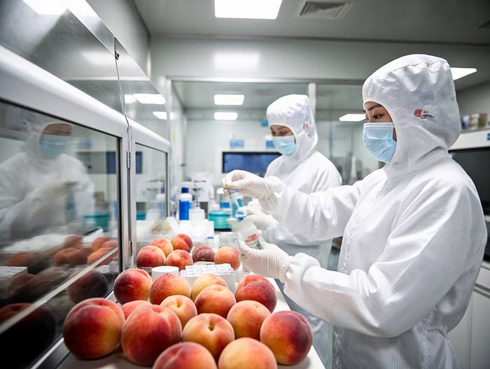 桃农药残留检测