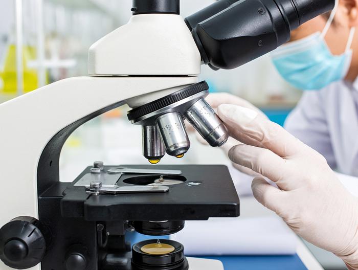 蜂王浆微生物检测