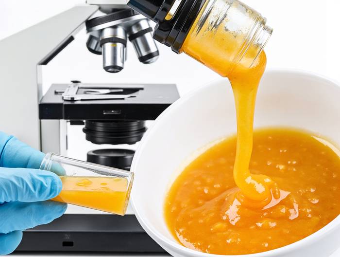 芒果酱转基因成分鉴定