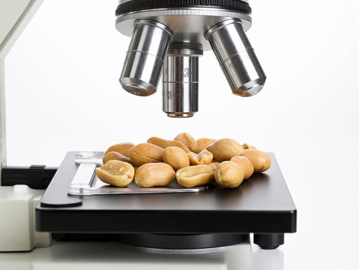 花生转基因成分鉴定