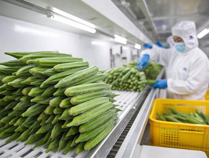 秋葵冷链运输验证