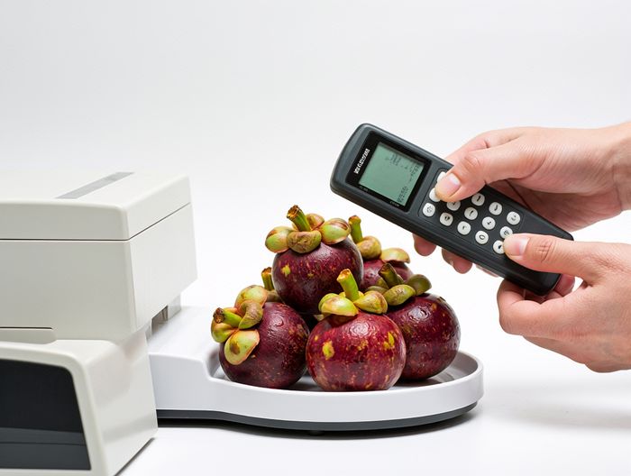 山竹重金属检测