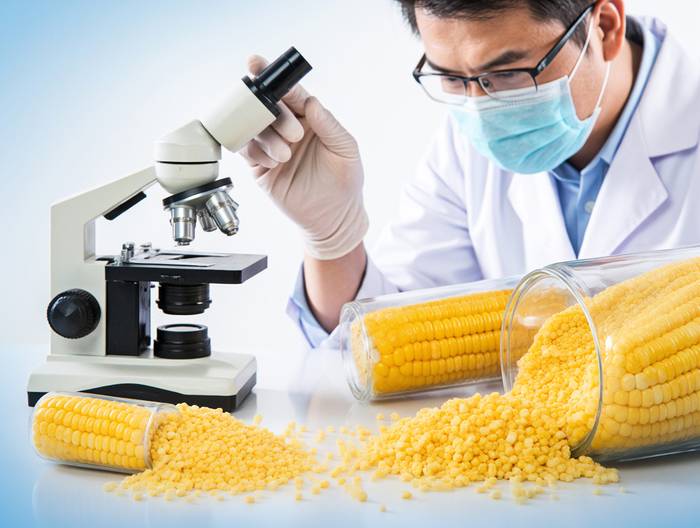 玉米淀粉转基因成分鉴定