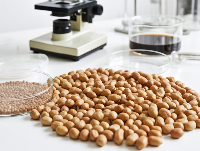 花生微生物检测