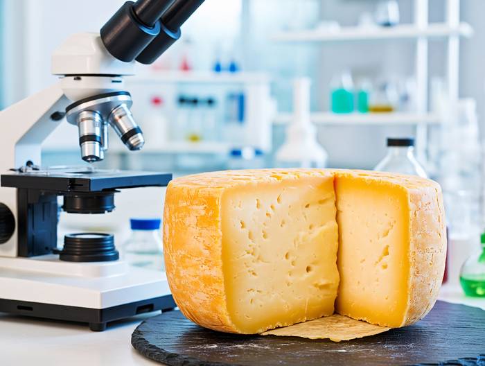 奶酪转基因成分鉴定